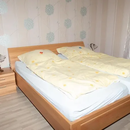 Grosse-ferienwohnung-ueber-2-etagen-bei-frankfurt *